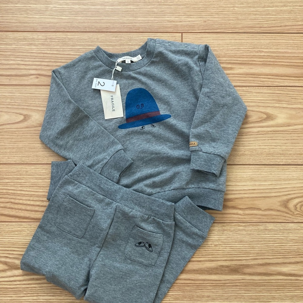 Cute Gray Toddler Sweatshirt and Pants Set